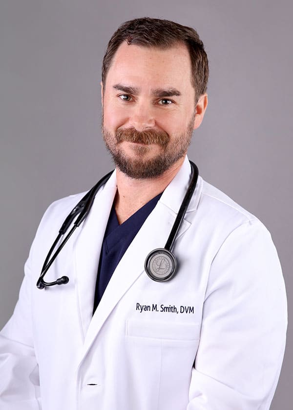 A bearded veterinarian in a white coat with "Ryan M. Smith, DVM" embroidered on it stands confidently, a stethoscope draped around their neck. The gray background highlights the dedication and professionalism of this skilled vet.