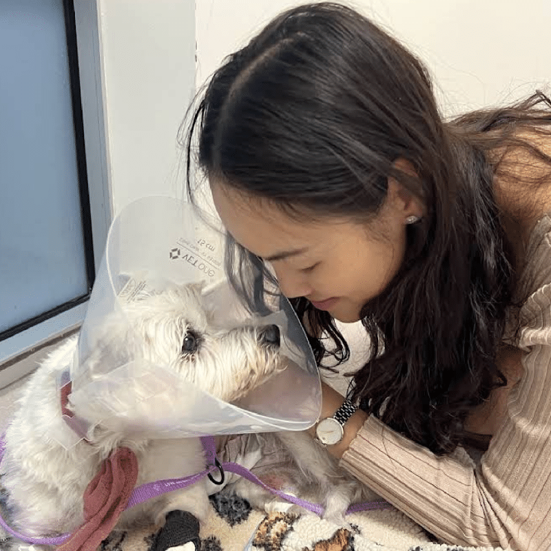 A woman gently touches foreheads with a small white dog wearing a cone collar. The dog lies on a patterned mat with a leash, and the two share a tender moment indoors near a window.