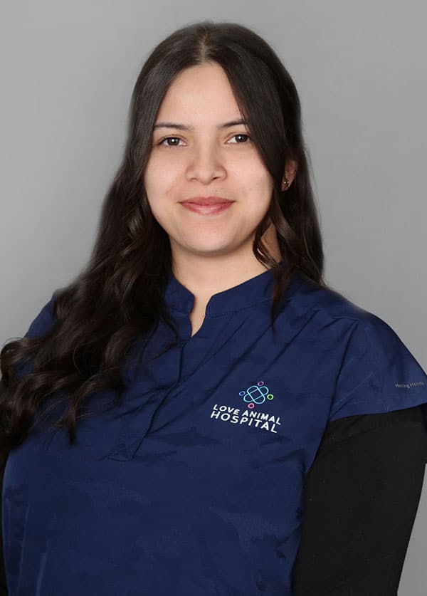 A veterinarian with long dark hair is wearing a blue uniform featuring the "Love Animal Hospital" logo. They are smiling softly against a plain gray background.