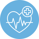 Icon of a white heart with an electrocardiogram line inside it on a blue circular background, reminiscent of a vet's badge. There's a medical cross symbol in a small circle on the top right of the heart, highlighting its connection to veterinary care.