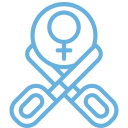 Spay Surgery Icon