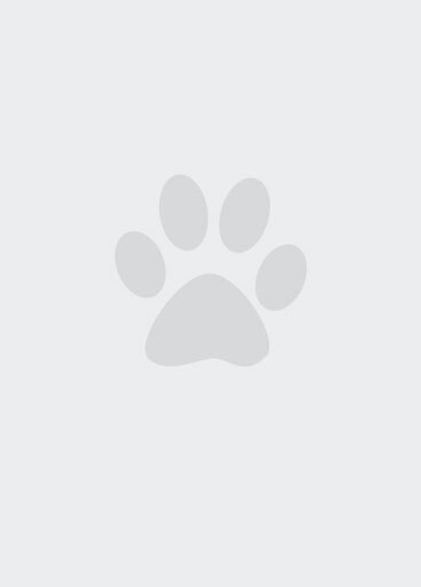 Gray placeholder image of a pawprint on a light background, reminiscent of a vet clinic logo.